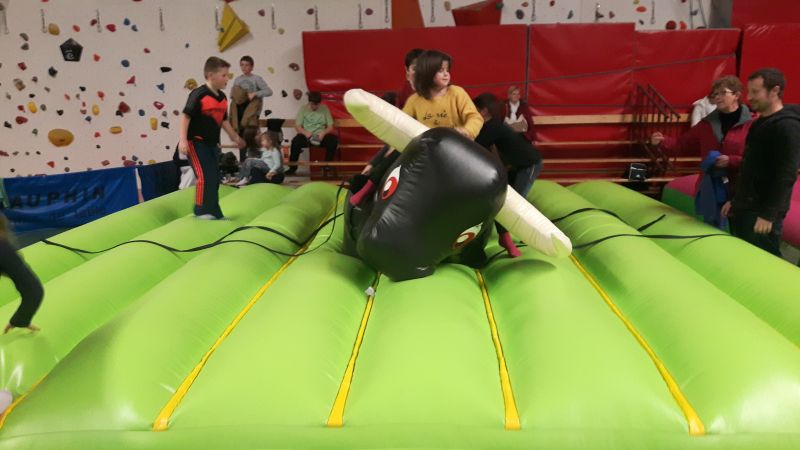 Taureau gonflable