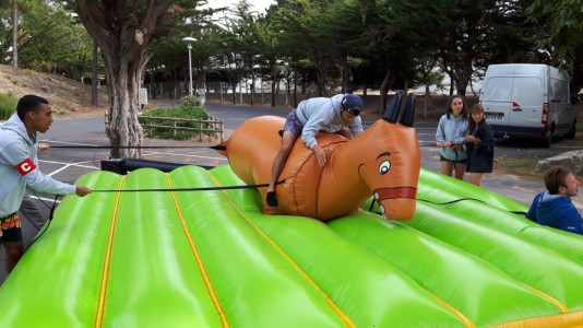 Cheval gonflable