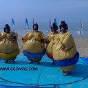 Costumes de sumos adultes