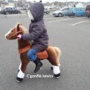 Pony Fun