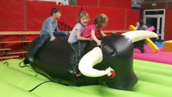 Location de TAUREAU BULL RODEO