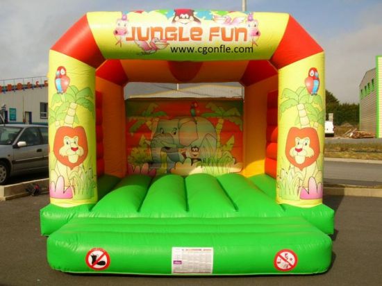 Location de Chateau gonflable Jungle fun