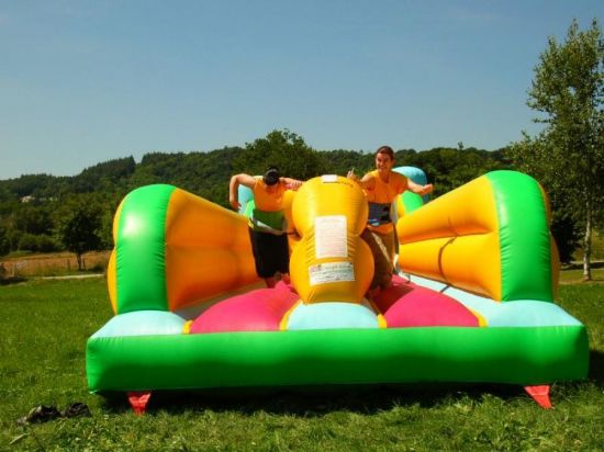 Location de Tir elastique (bungee run)