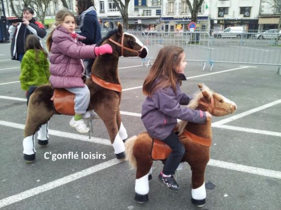Location de Pony Fun en Bretagne