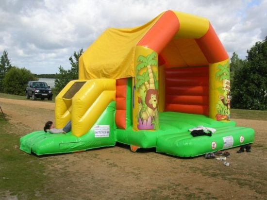 Location de Chateau gonflable Toboggan